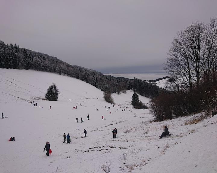 Holzschlagermatte